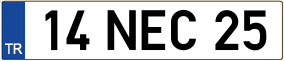 Truck License Plate